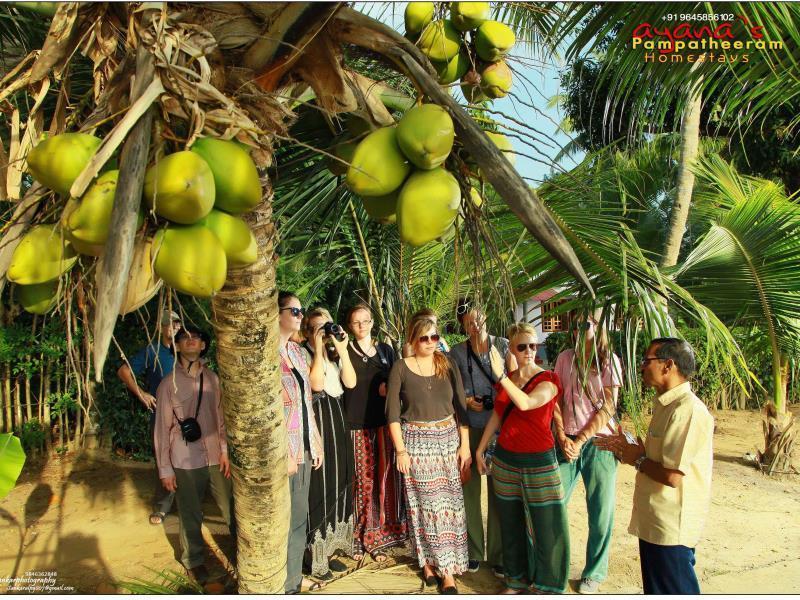Ayana'S Homestay Alappuzha Eksteriør billede