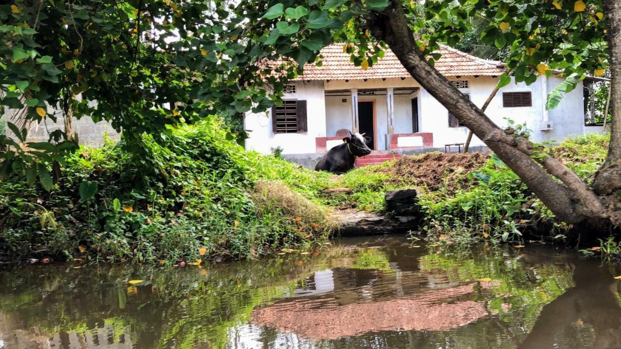 Ayana'S Homestay Alappuzha Eksteriør billede